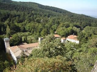 Albergo La Foresta Реджелло Екстер'єр фото